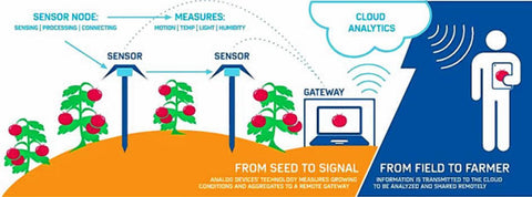 Internet of Things That’s old hat. How about an Internet of Tomatoes