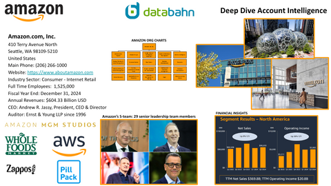 Amazon Ring Org Chart and Sales Intelligence Report