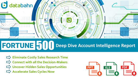 Fortune 500 Org Chart and Deep Dive Sales Intelligence Report cover