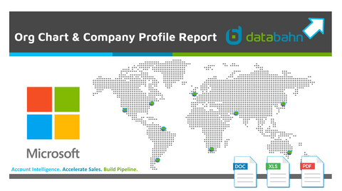 Microsoft Company Profile and Org Chart Report cover