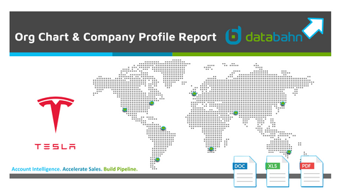 Tesla Company Profile and Org Chart Report cover
