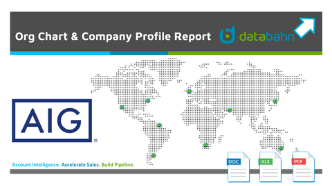 AIG Org Chart & Company Profile Report cover from databahn
