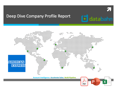 American Express Company Profile Report cover