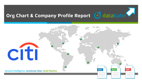 Citigroup Company Profile and Citi Org Chart Report cover