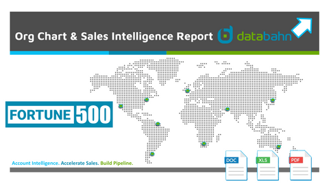 WK Kellogg Profile Report by databahn