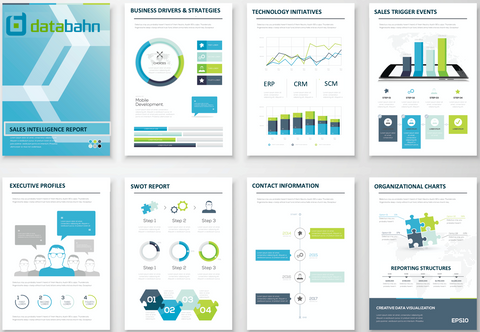 Databahn Fortune 500 Org Chart and Sales Intelligence Report