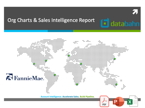 Fannie Mae Org Chart & Sales Intelligence Report cover