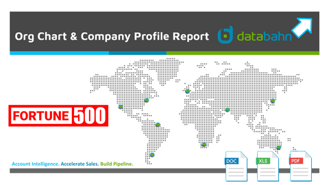 Marriott International Profile Report by databahn