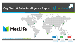 MetLife Org Chart Report cover