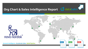 Novo Nordisk Org Chart Report cover