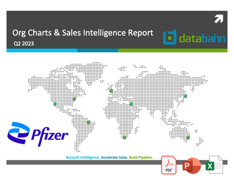 Pfizer org chart cover