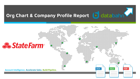 State Farm org chart report