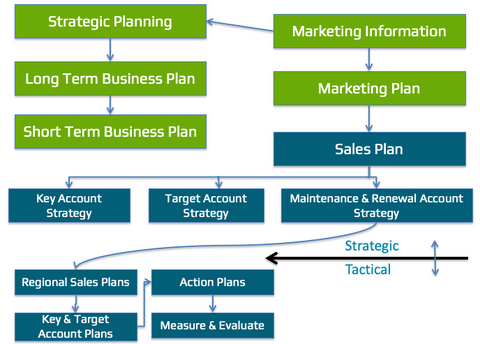 Strategic Account Plan Template process by databahn