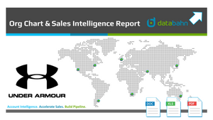 Under Armour Org Chart report cover