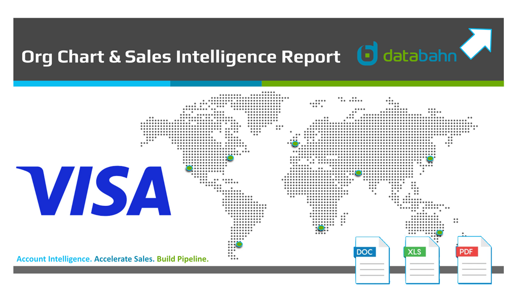 Visa Org Chart report cover