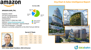 amazon Org Chart & Sales Intelligence Report cover by databahn